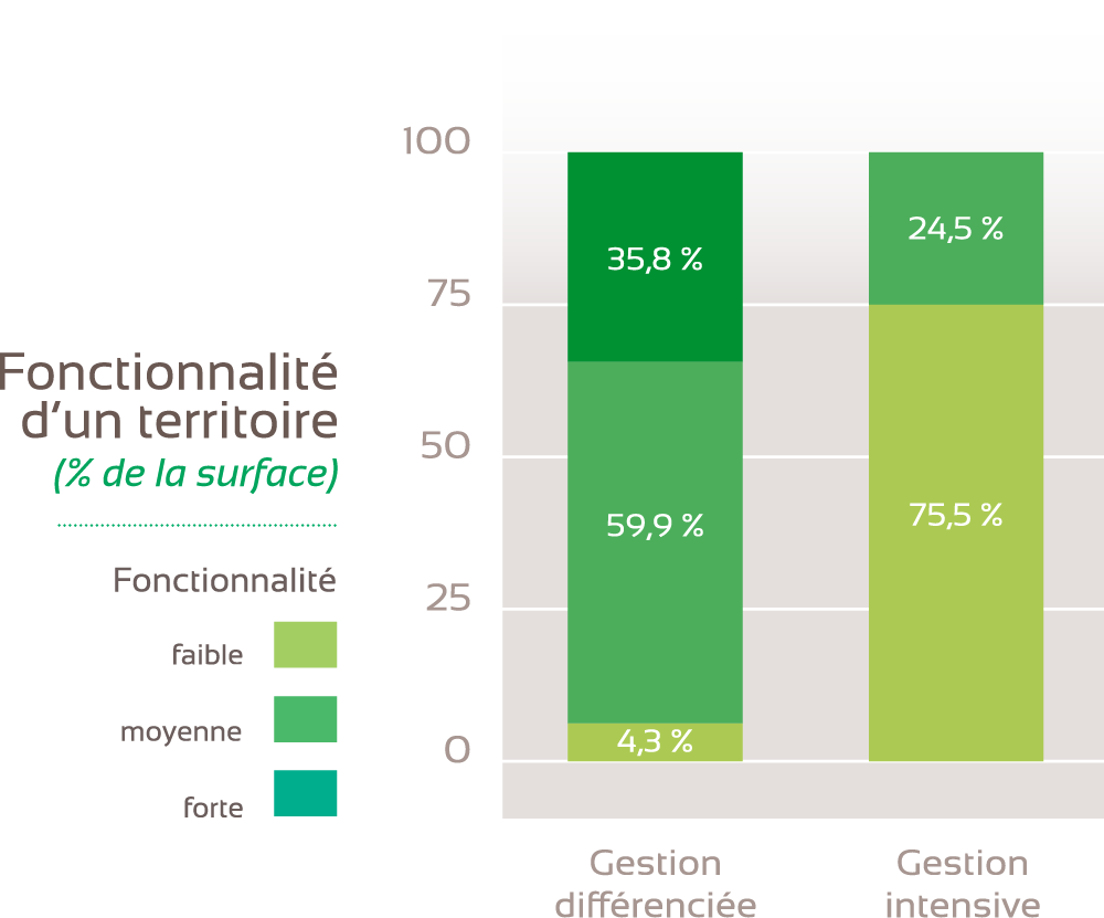 Schéma fonctionnalité territoire