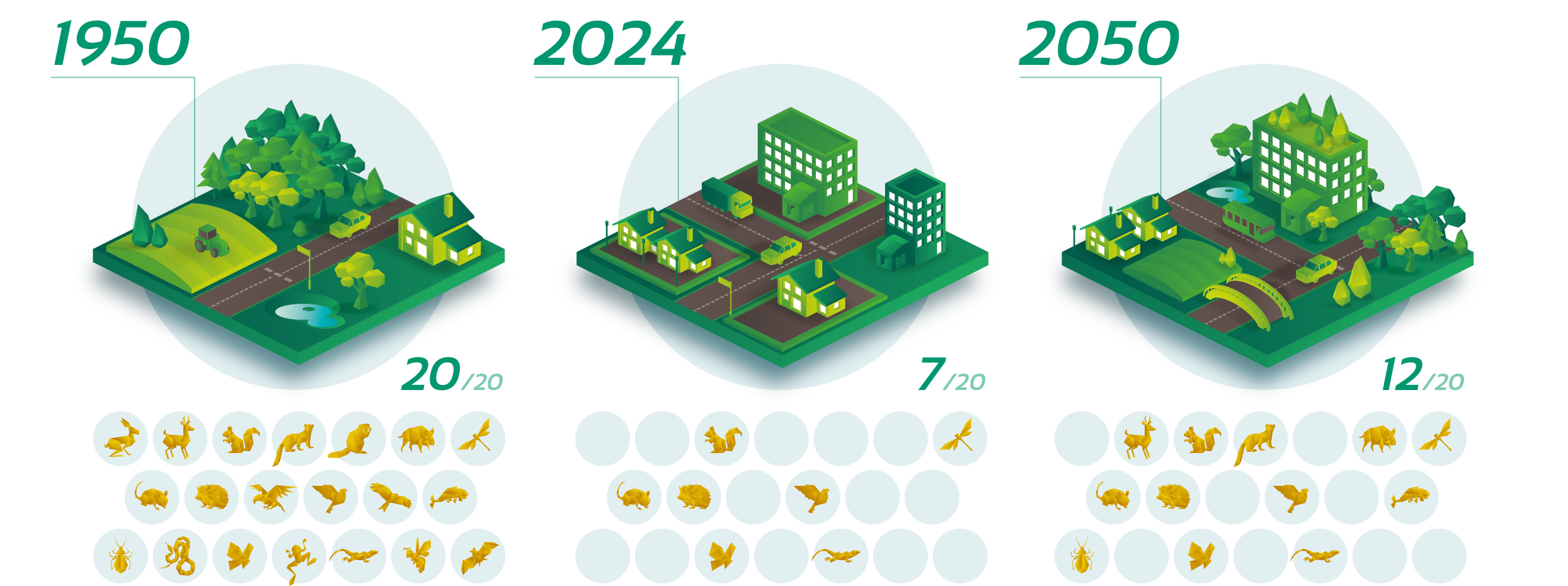 schéma d'évolution