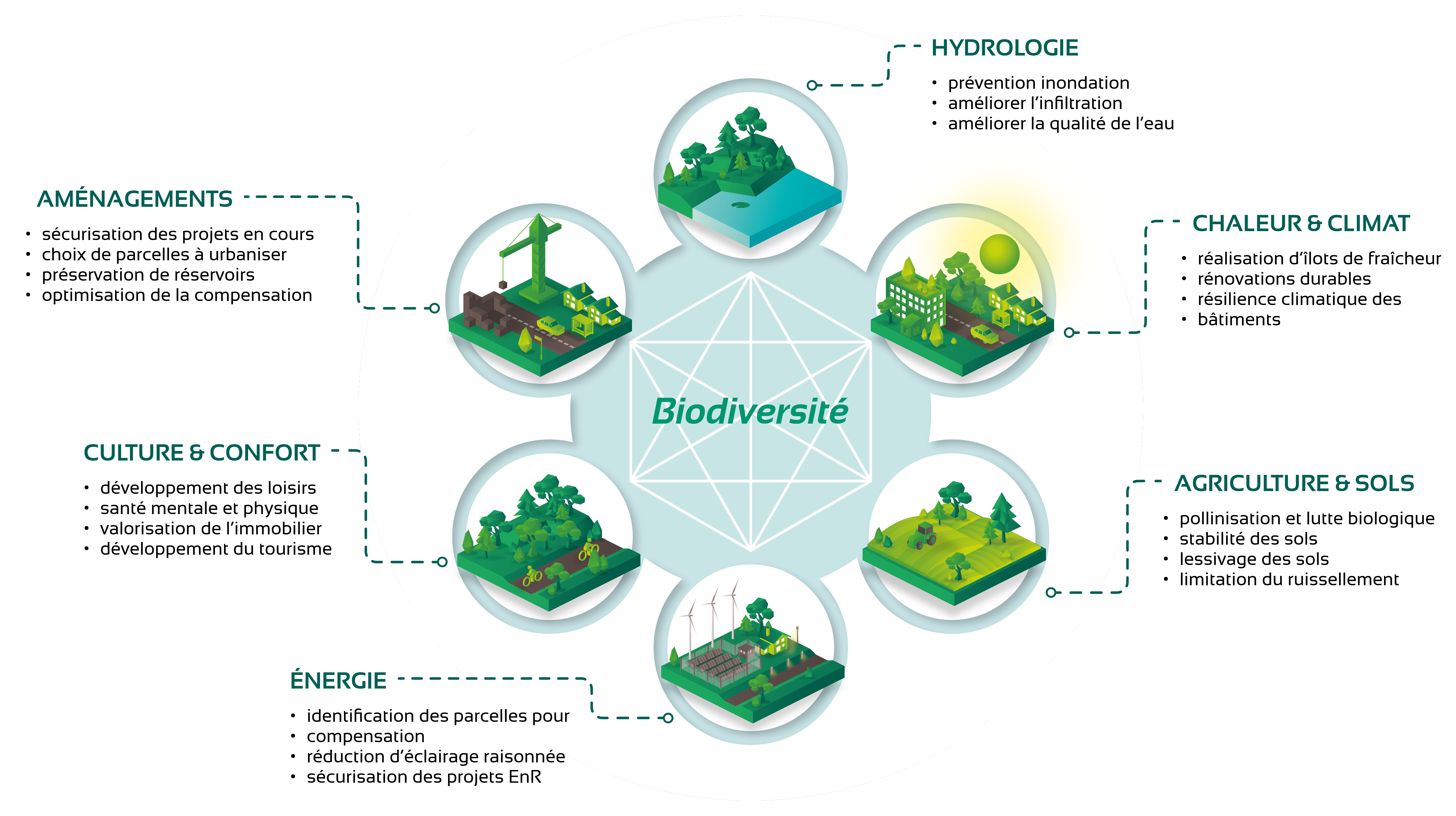 la biodiversité au coeurs de nos activités