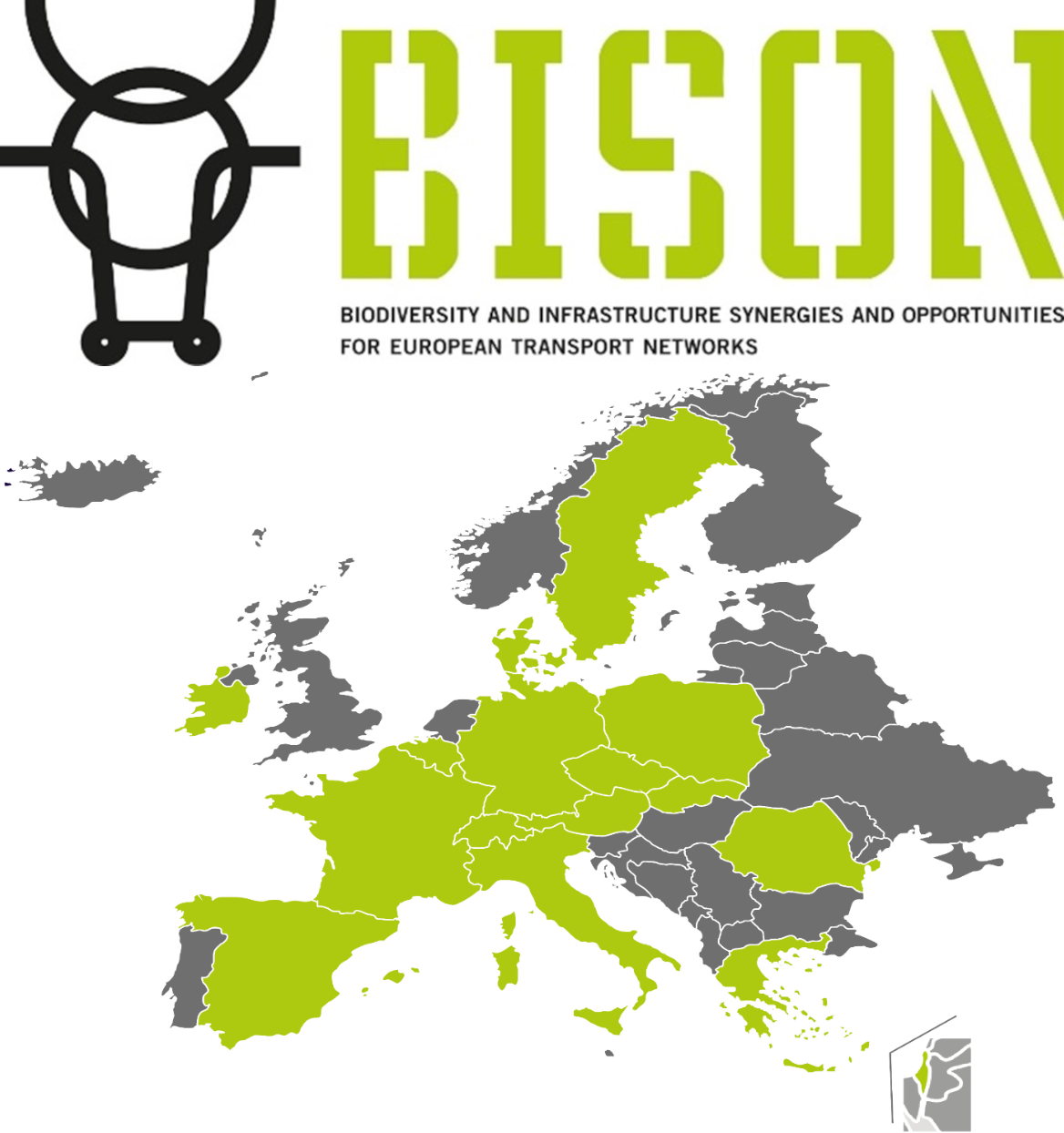 bison logo carte