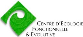 logo cefe