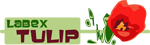 logo Labex Tulip