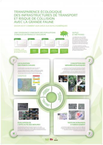 poster transport collisions