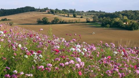 agriculture biodiversité