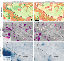 cartes impacts pollution sonore