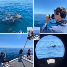 image excurtion victor