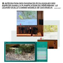 these johan illustration 