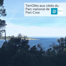 Portt cros 